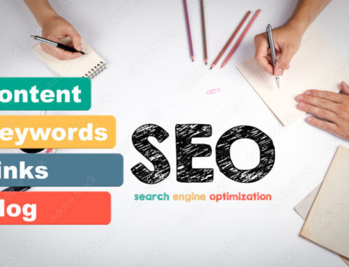 SEO Services in India: Empowering Your Digital Growth