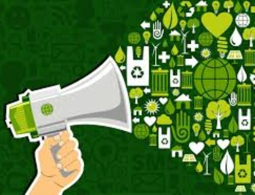 Sustainable Marketing in 2025: Navigating the Green Frontier