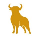 Stier Solutions Inc.