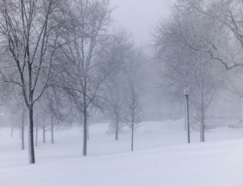 Northeast Travel Bans Ease After Blizzard Dumps Over 2 Feet of Snow