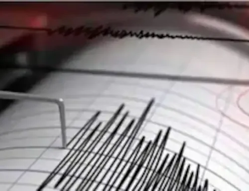 Earthquake Tremors Felt Across Northern India: What You Need to Know