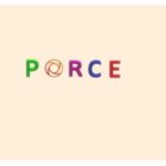 Porce Consulting Services LLC